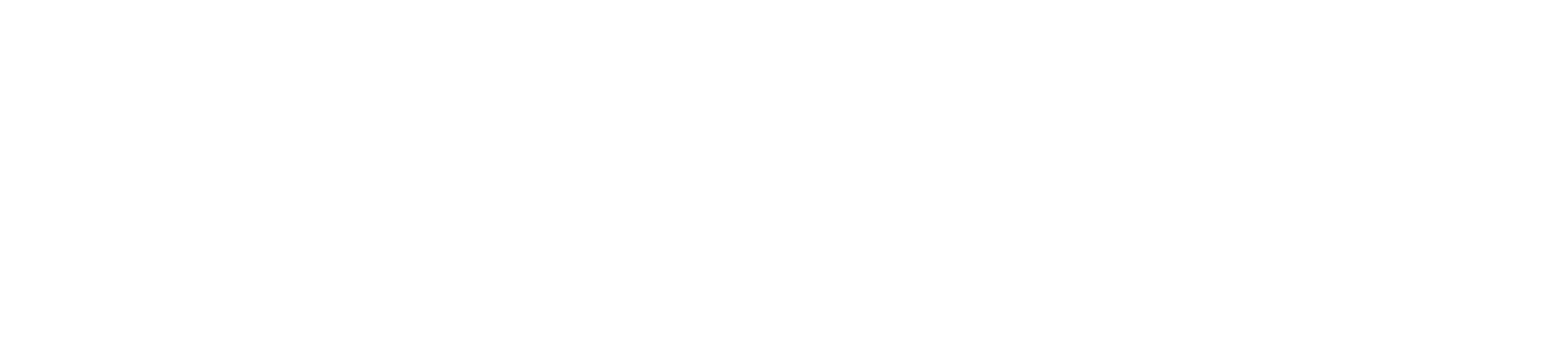 Neskrid logo